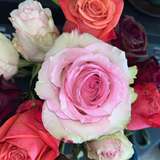 ceeceesole from onlyfans